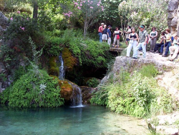 Pulsar para ver la imagen original